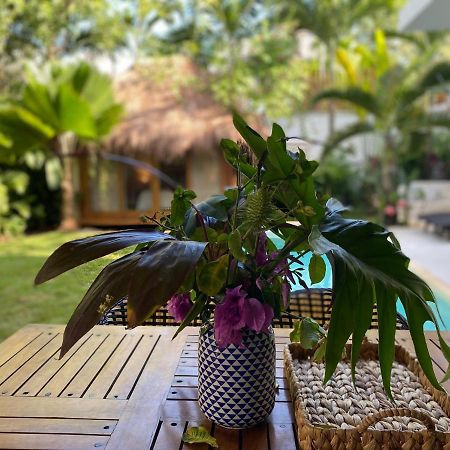 Luxury Private Villas , Private Pool, Private Garden, Jacuzzi, 24Hours Security Tulum Pueblo Buitenkant foto