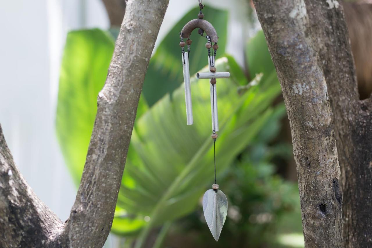 Luxury Private Villas , Private Pool, Private Garden, Jacuzzi, 24Hours Security Tulum Pueblo Buitenkant foto