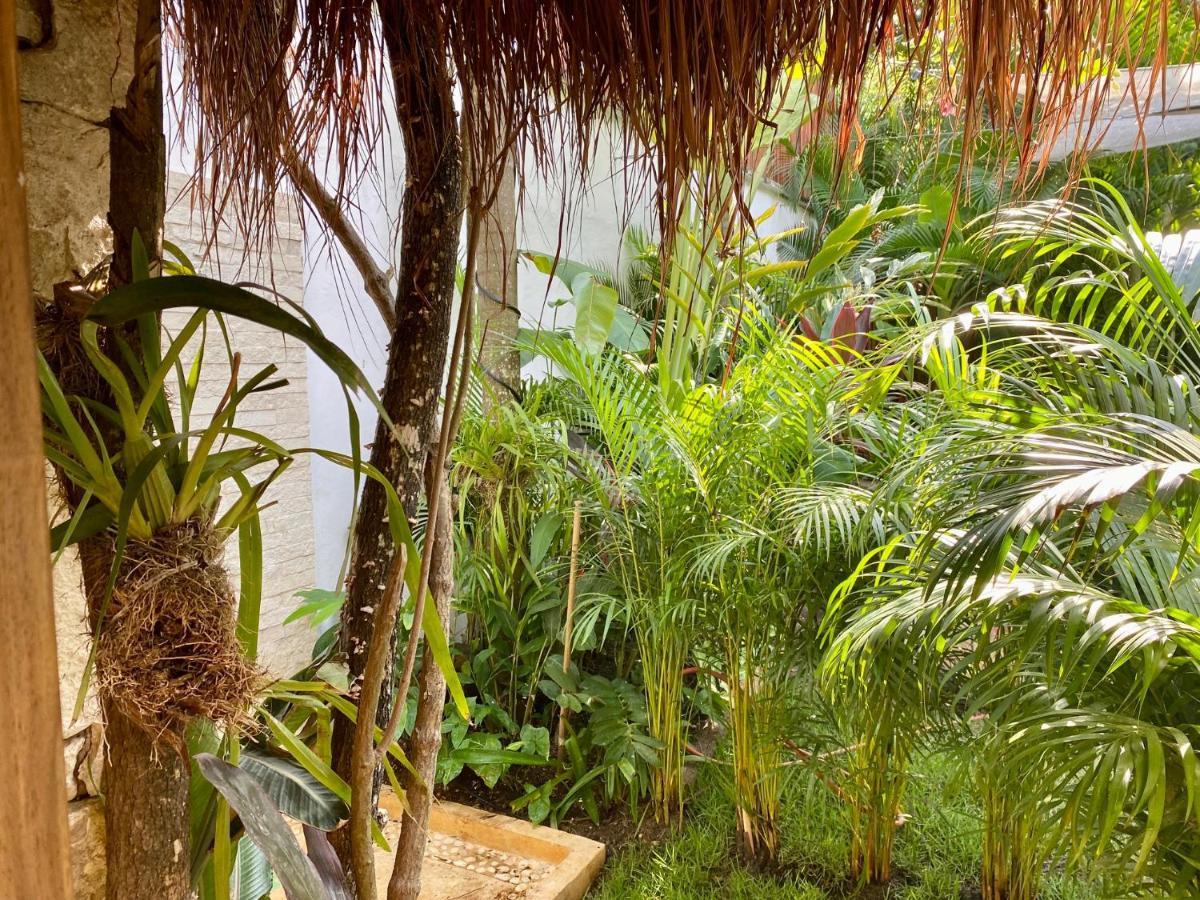 Luxury Private Villas , Private Pool, Private Garden, Jacuzzi, 24Hours Security Tulum Pueblo Buitenkant foto
